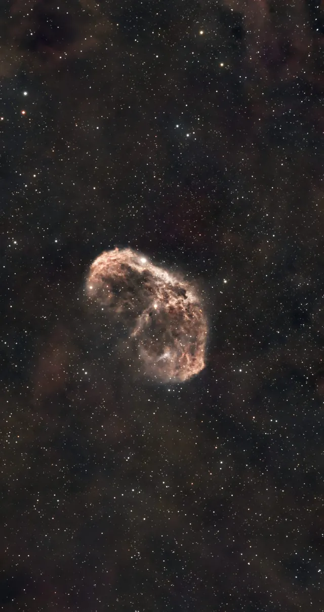 The Crescent Nebula against a dense Cygnus star field