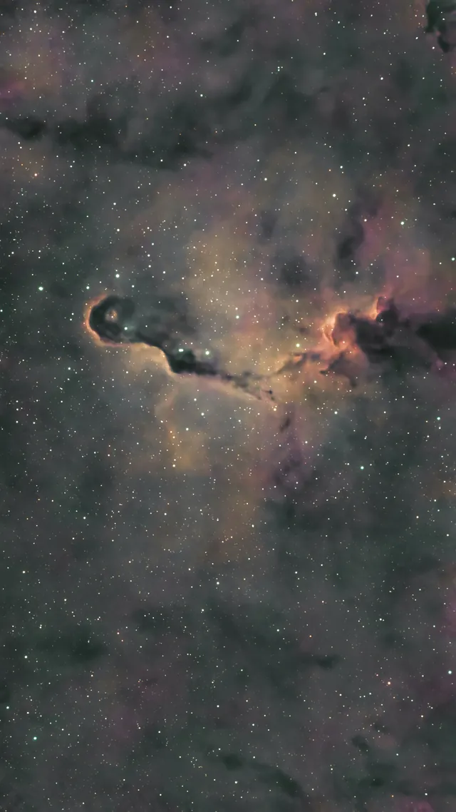 The Elephant's Trunk Nebula in glowing hydrogen gas