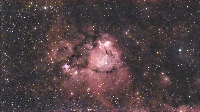The glowing Fish Head Nebula and surrounding dark dust