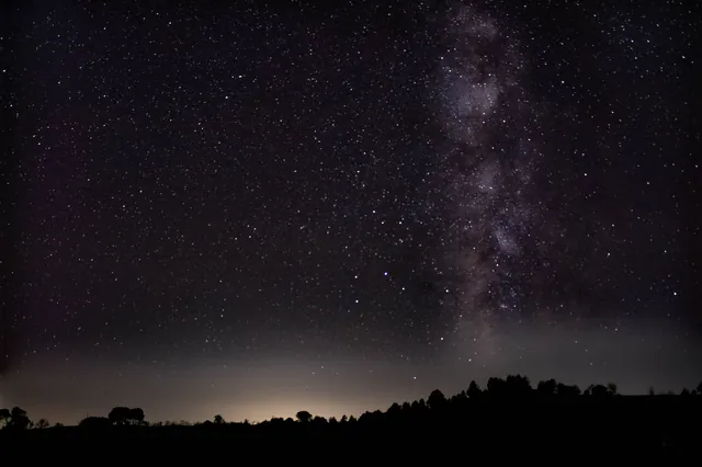 The Milky Way's galactic core above silhouetted trees