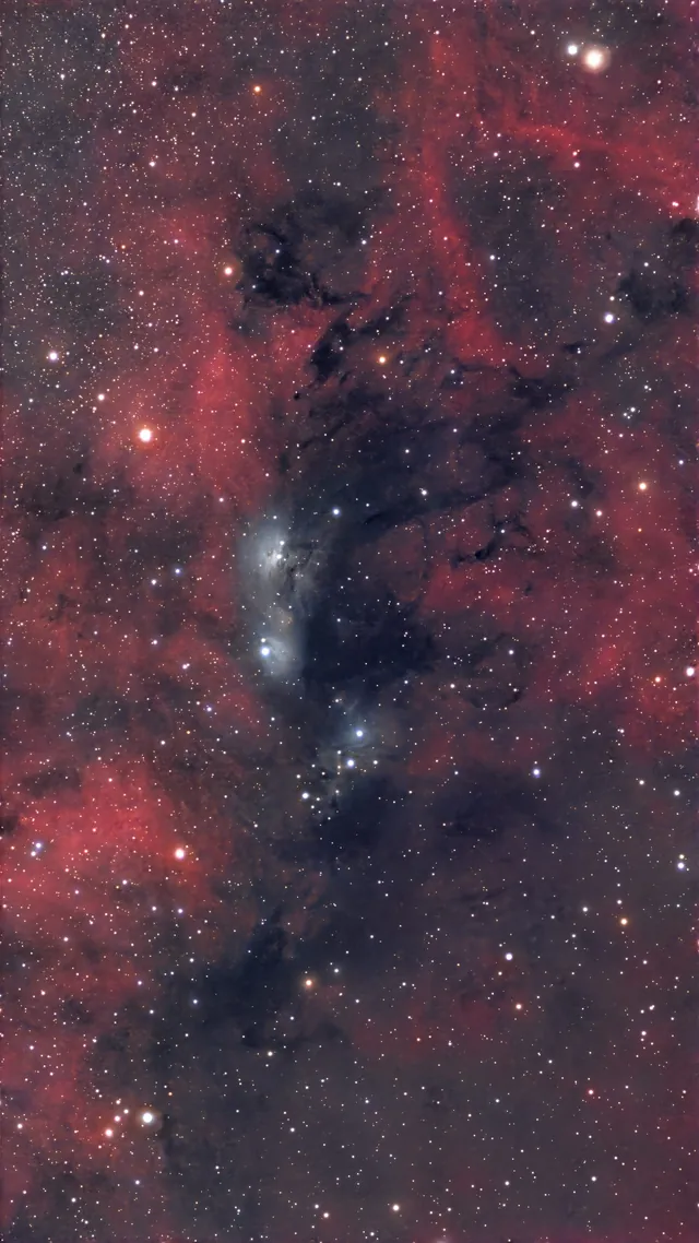 The blue and red nebulosity of NGC 6914