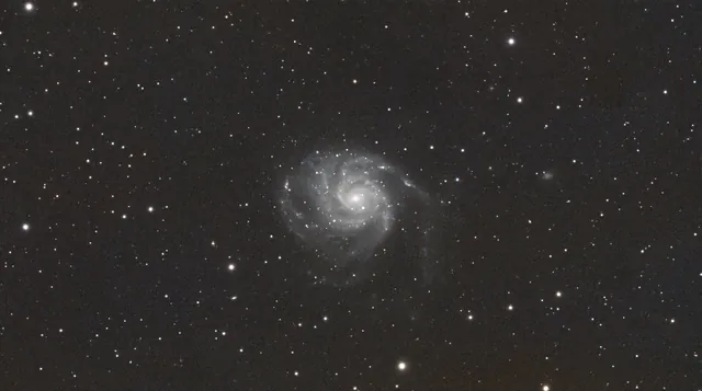 The face-on Pinwheel Galaxy in a star field